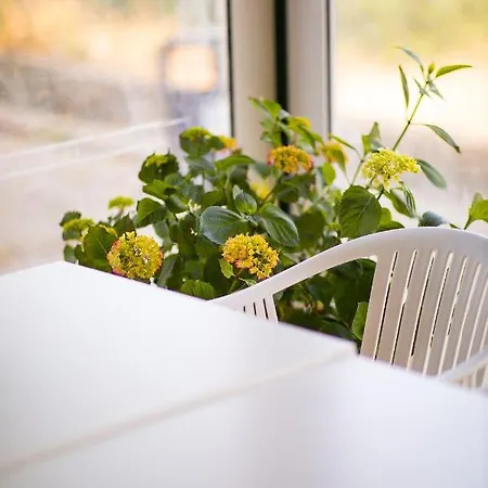 Blumarine Pensionat Eforie Nord